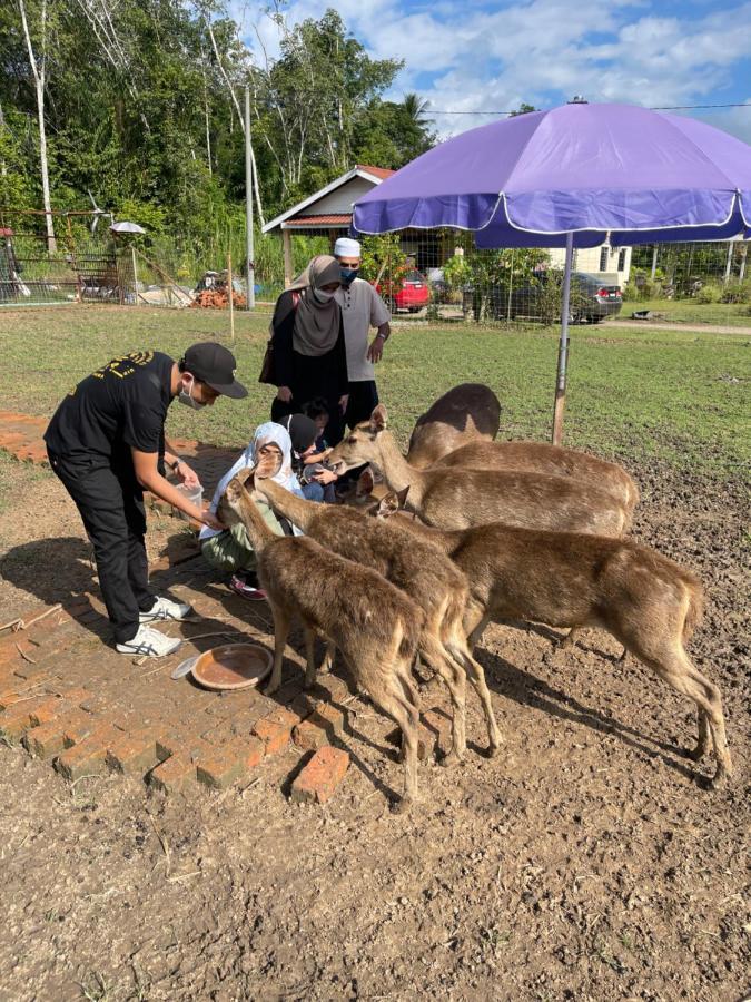 Hotel Branda Kampung Sumpitan Lenggong Tiada Sungai Kampong Ulu Jepai Esterno foto