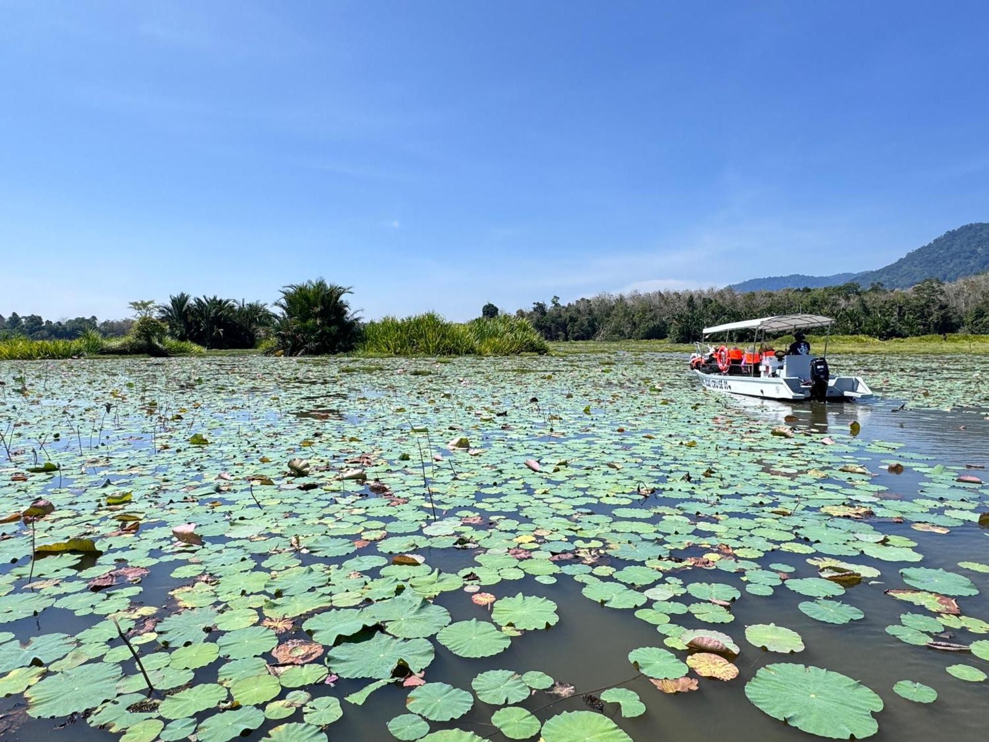 Hotel Branda Kampung Sumpitan Lenggong Tiada Sungai Kampong Ulu Jepai Esterno foto