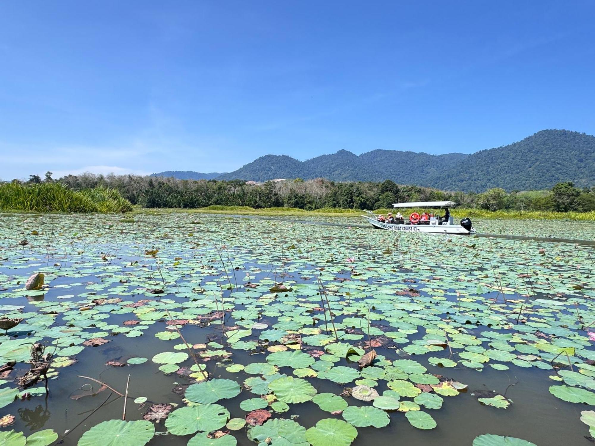 Hotel Branda Kampung Sumpitan Lenggong Tiada Sungai Kampong Ulu Jepai Esterno foto